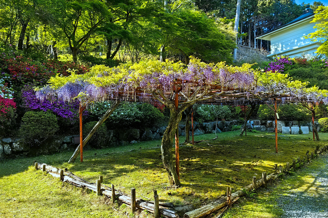西國三十三所-石光山石山寺